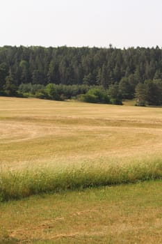 Landscape in Thuringia