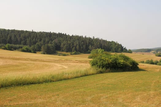 Landscape in Thuringia