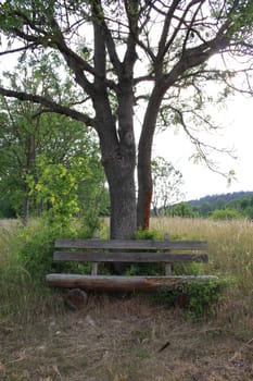 Wooden Bench