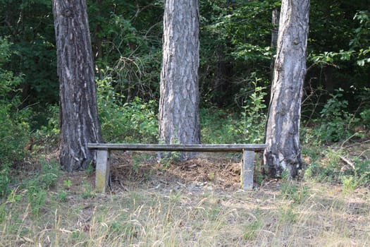 Wooden Bench