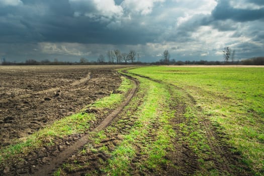 Plowed field next to the meadow and rainy clouds, Nowiny, Lubelskie, Poland