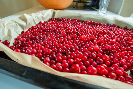 Sheet lined with paper and ripe red cranberries