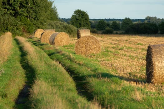 Dirt road and hay bales for stubble, Nowiny, Lubelskie, Poland