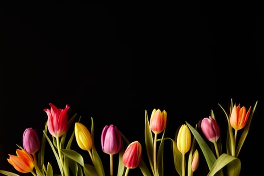 Bunch of fresh tulips with multicolored petals on stems and green leaves against black background in studio during festive occasion