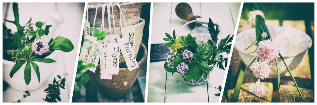 Set of photos of pots with labels and flowers placed on sunlit tables on summer or spring day