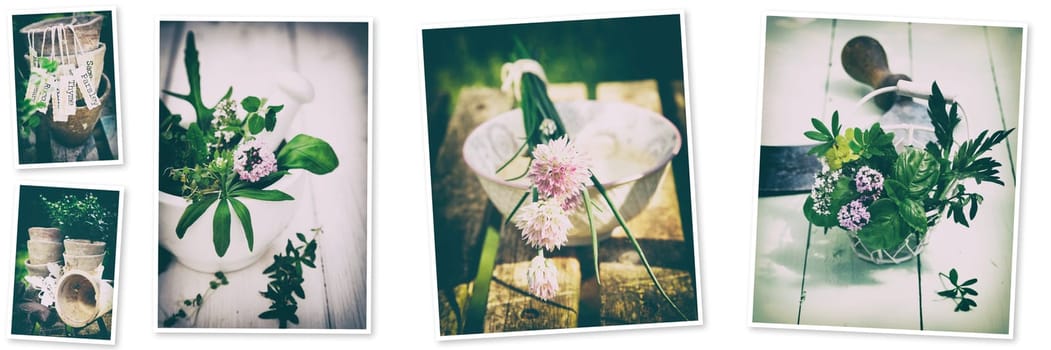 Collage of pictures with assorted ceramic pots and natural flowers arranged on white background