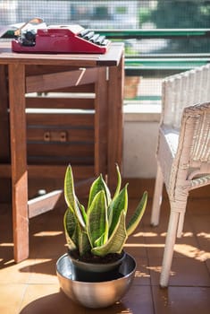 Urban home terrace with 1970s typewriter. Pleasant atmosphere for writing books