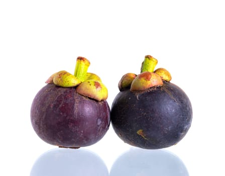 Fresh mangosteen fruit on the white background