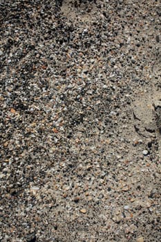 Shells close up elafonisi beach crete island covid-19 season holidays modern background high quality prints