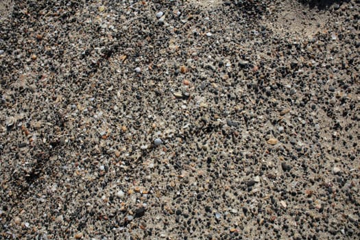 Shells close up elafonisi beach crete island covid-19 season holidays modern background high quality prints