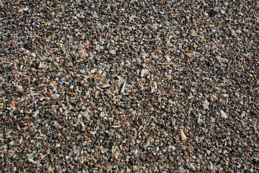 Shells close up elafonisi beach crete island covid-19 season holidays modern background high quality prints