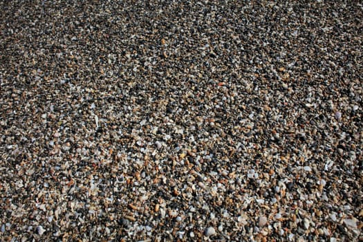 Shells close up elafonisi beach crete island covid-19 season holidays modern background high quality prints