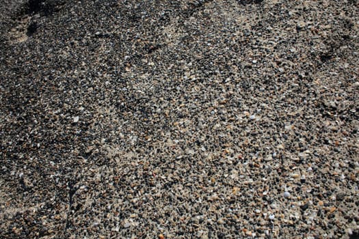Shells close up elafonisi beach crete island covid-19 season holidays modern background high quality prints