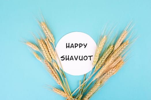 Wheat crop on a blue background, happy shavuot is standing in the middle, jewish holiday, food harvest in the summer, golden straw
