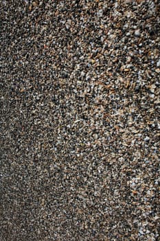 Shells close up elafonisi beach crete island covid-19 season holidays modern background high quality prints