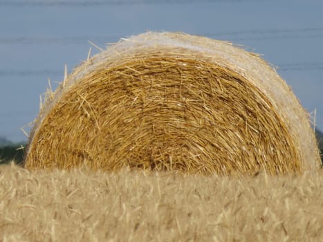 collection of straw round bale animal feed storage