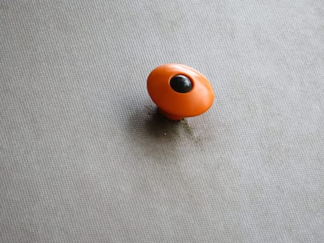 children's climbing game with grips to get started in the sport height