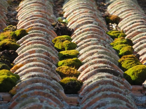 roof old green moss abandonment tiles clay material