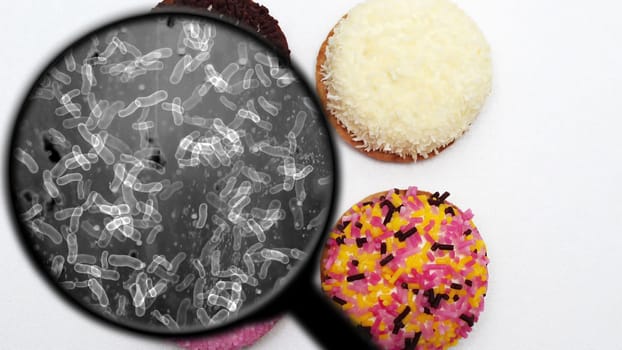 Searching for bacteria in sweets,Searching for bacteria in sweets