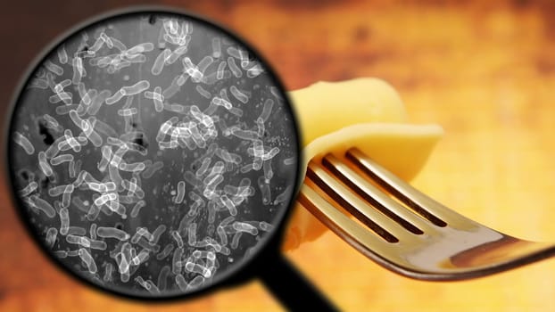 Searching for bacteria in food,Searching for bacteria in food