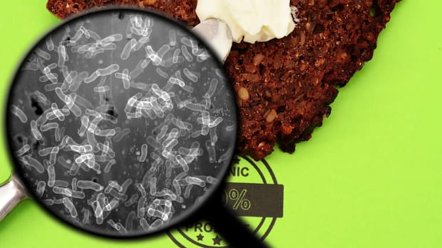 Searching for bacteria in bread,Searching for bacteria in bread