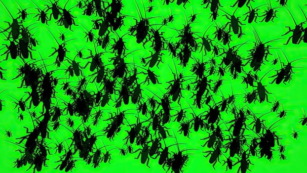Bugs On Green Screen Silhouette,Bugs On Green Screen Silhouette