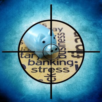 Banking stress target