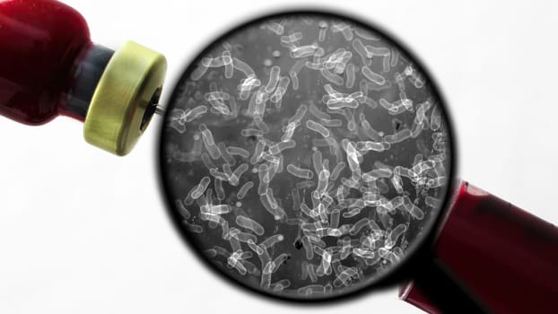 Searching for bacteria in blood,Searching for bacteria in blood