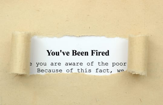 You are fired