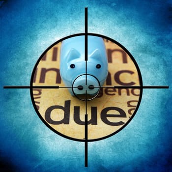 Piggy bank target