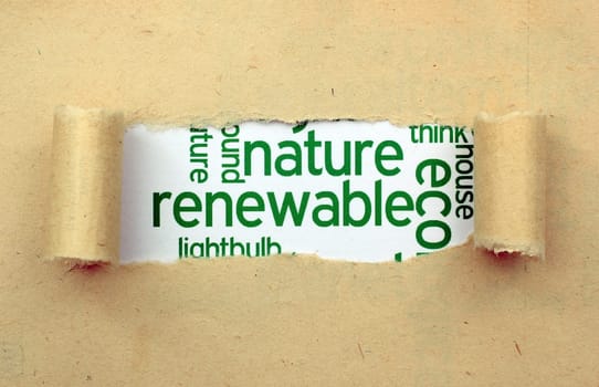 Renewable nature