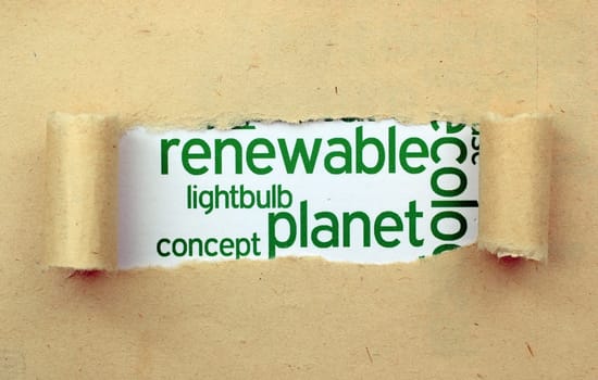 Renewable plant