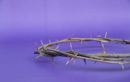 Copy space for Christian prayer text or quote with crown of thorns on purple color background. Copy space