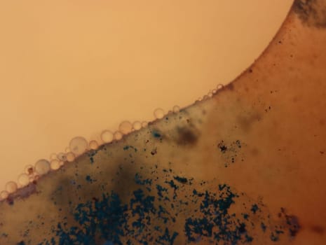 abstract background fantasy illusion rarity imagination virus bacteria sensation