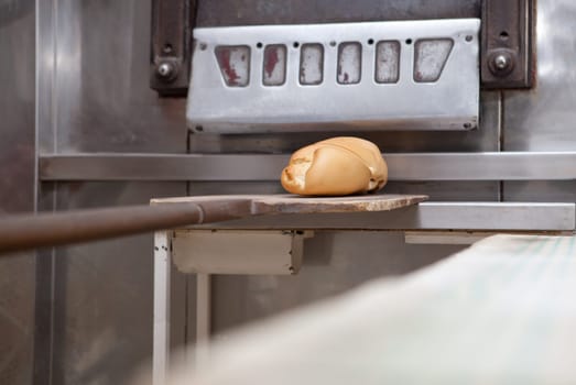 baking peel with fresh baked bread. Manufacturing process of spanish bread