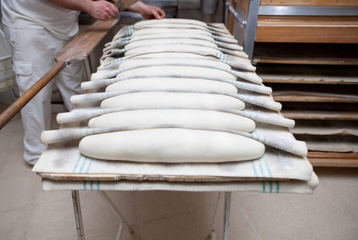 Baker putting kaiser roll dough into the oven. Manufacturing process of spanish bread