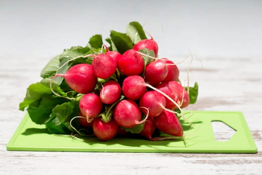 Bund Radishes