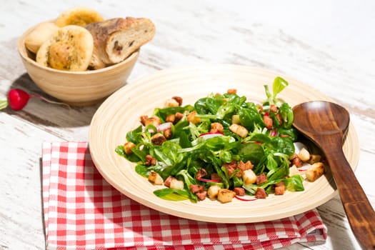 Field salad with bacon cubes,croutons and radishes,studio