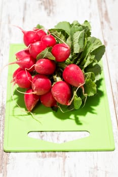 Bund Radishes