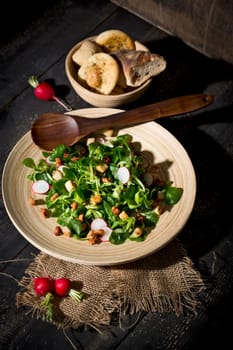 Field salad with bacon cubes,croutons and radishes,studio