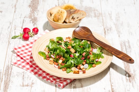 Field salad with bacon cubes,croutons and radishes,studio