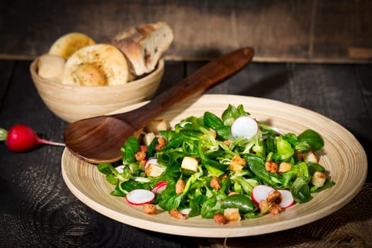 Field salad with bacon cubes,croutons and radishes,studio