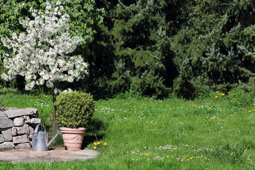 Blooming apple tree and book with space for text