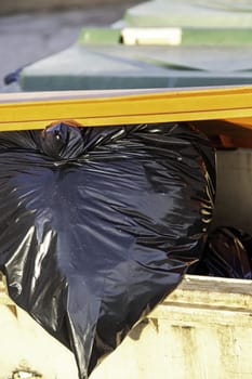 Detail of garbage and recycling in the city, waste management