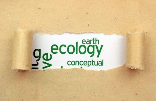 Ecology earth