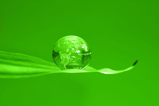 Droplet on leaf
