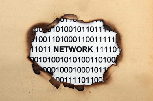 Network on paper hole