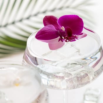 Transparent cocktail with ice in a champagne coupe glass decorated with purple orchid flowers close up. Tropical drink at the bar. Summer vacation mood