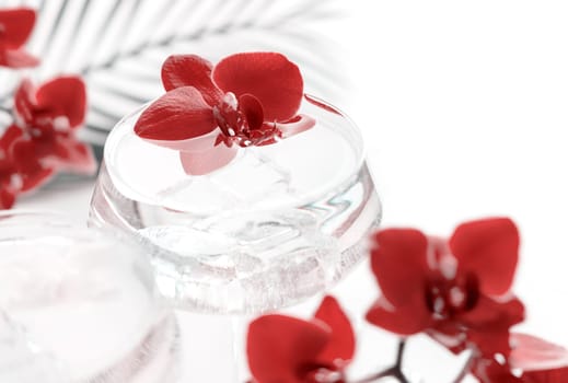 Transparent cocktail with ice in a champagne coupe glass decorated with red orchid flowers close up. Tropical drink at the bar. Summer vacation mood