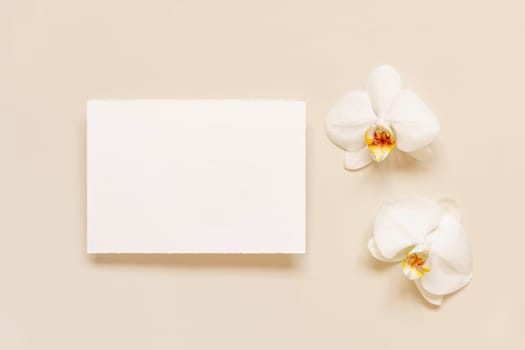 Wedding Card near white orchid flowers on light yellow top view, mockup. Romantic scene with horizontal blank card flat lay. Valentines or Spring romantic concept